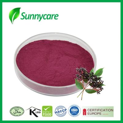 Elderberry extract sap poeder Sambucus nigra Natuurlijke kleurstof voor levensmiddelen en dranken