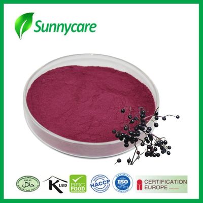 Black Elderberry Extract Poeder van Sambucus nigra voor Immuniteit en Vitaliteit