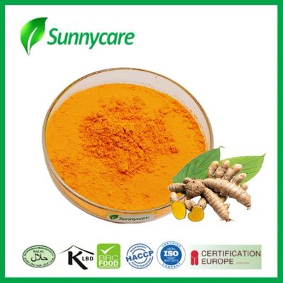 Kurkuma-extract Geel poeder 95% curcumine Curcuma longa wortel extract