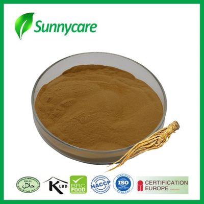 Dong Quai wortel extract poeder Angelica sinensis Menstruatieverlichting Farmaceutische industrie
