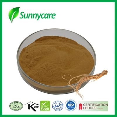 Dong Quai extract poeder Angelica sinensis Hormonale balans Voedingssupplementen