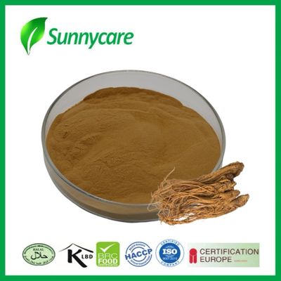Dong Quai-extract Angelica sinensis Immuniteitsversterking Functioneel voedsel Energie dranken