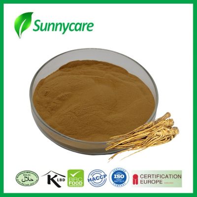 Dong Quai extract poeder Angelica sinensis Lever en nier gezondheid kruidengeneesmiddelen