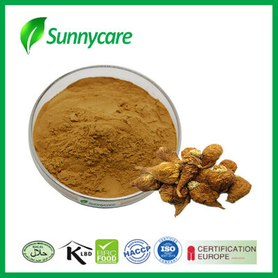 Maca wortel extract poeder 0,6% Macamides Rijk aan polysacchariden Voor voedingssupplementen